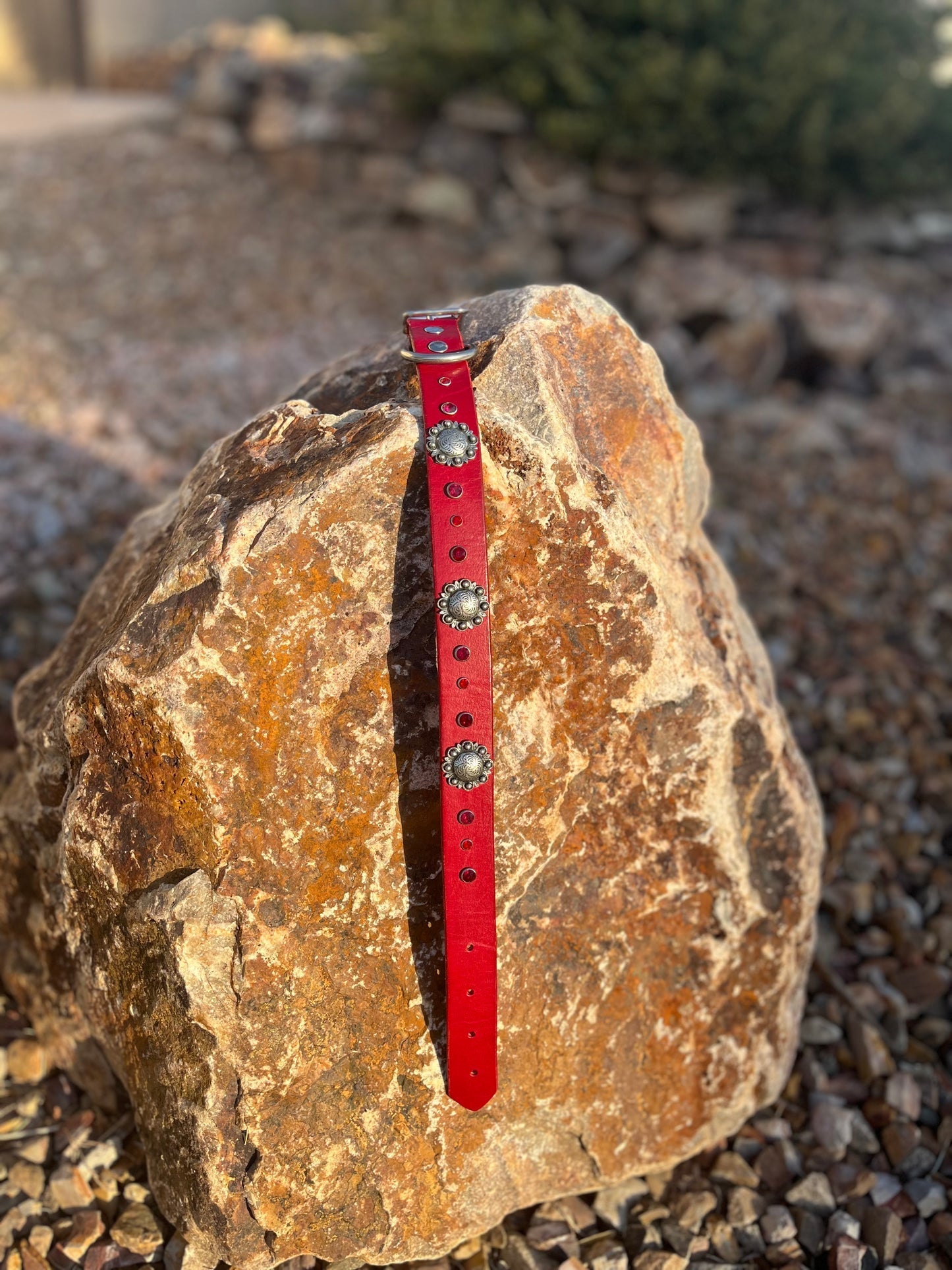 1" Silver Berry Red Leather Rhinestone Collar