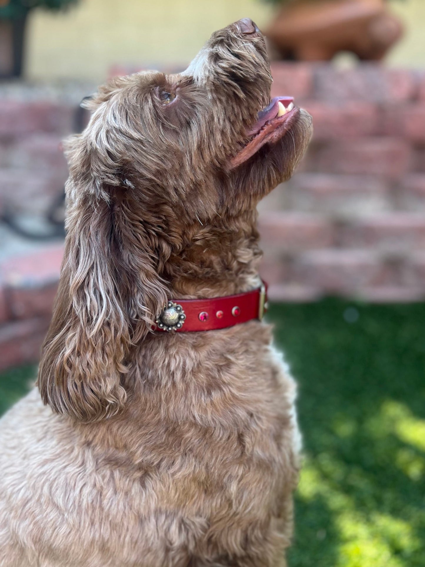1" Silver Berry Red Leather Rhinestone Collar