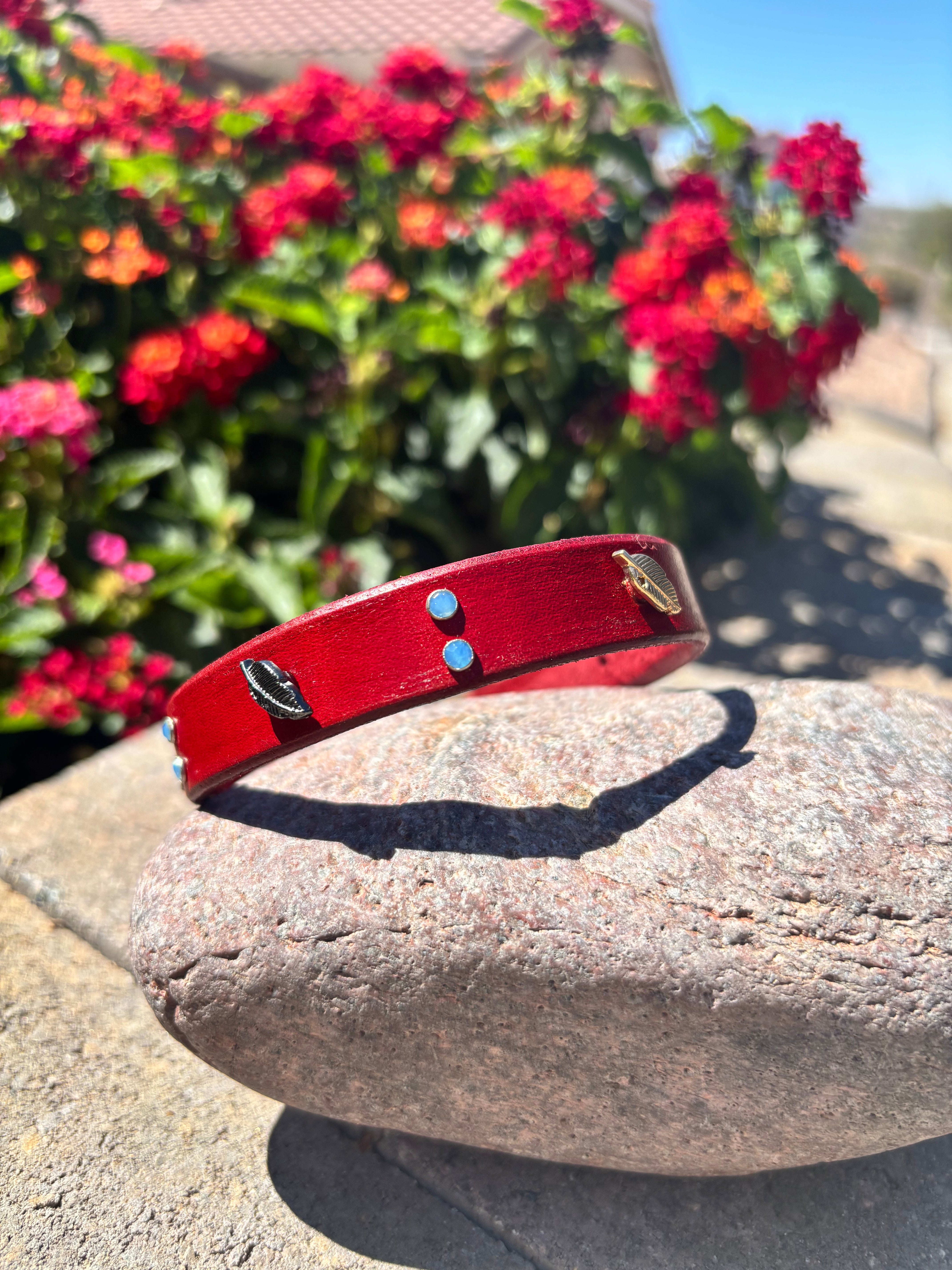 5/8'' Red Feather Leather Dog Collar