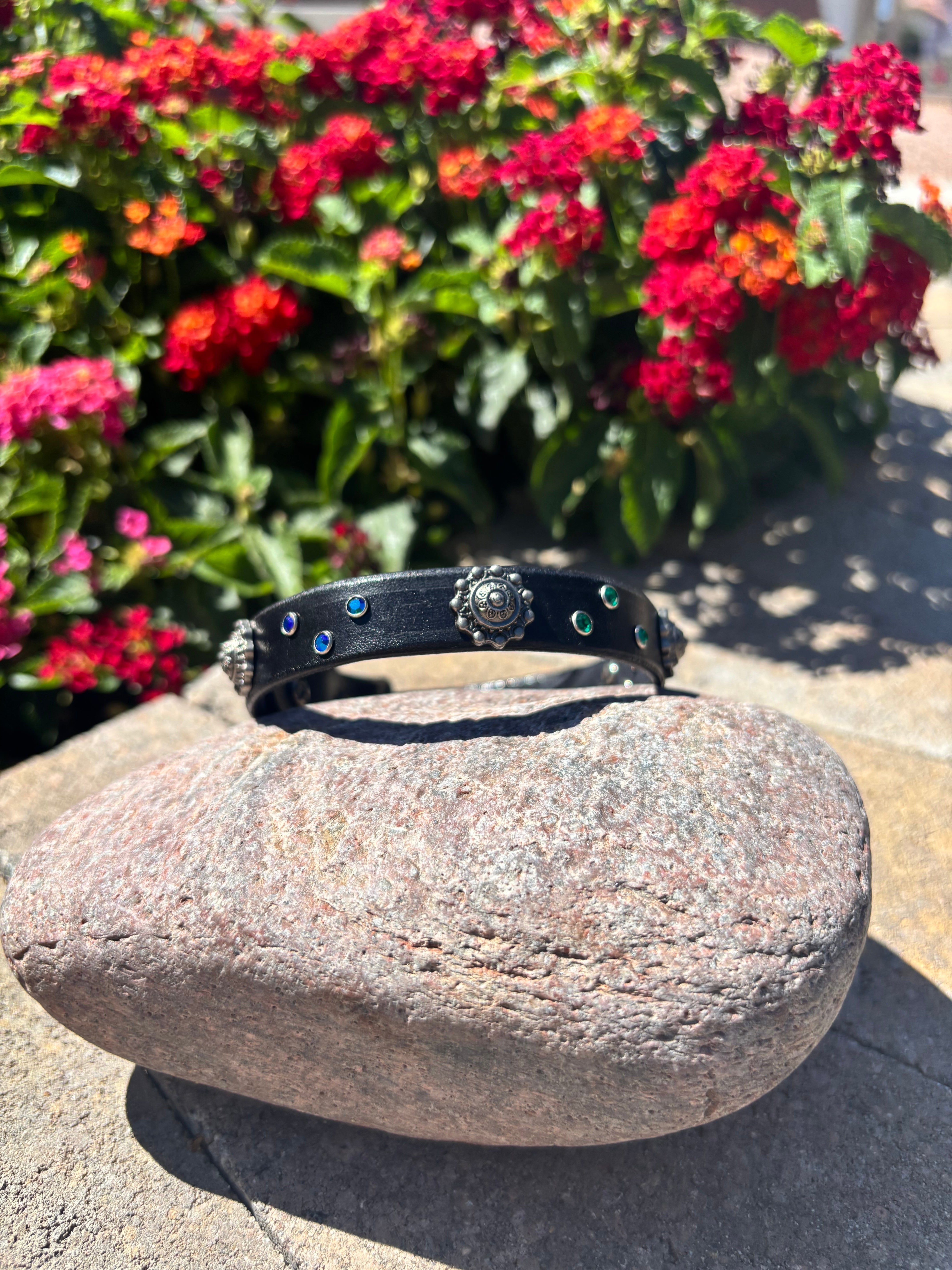 1\2" Black Enchantment Collar