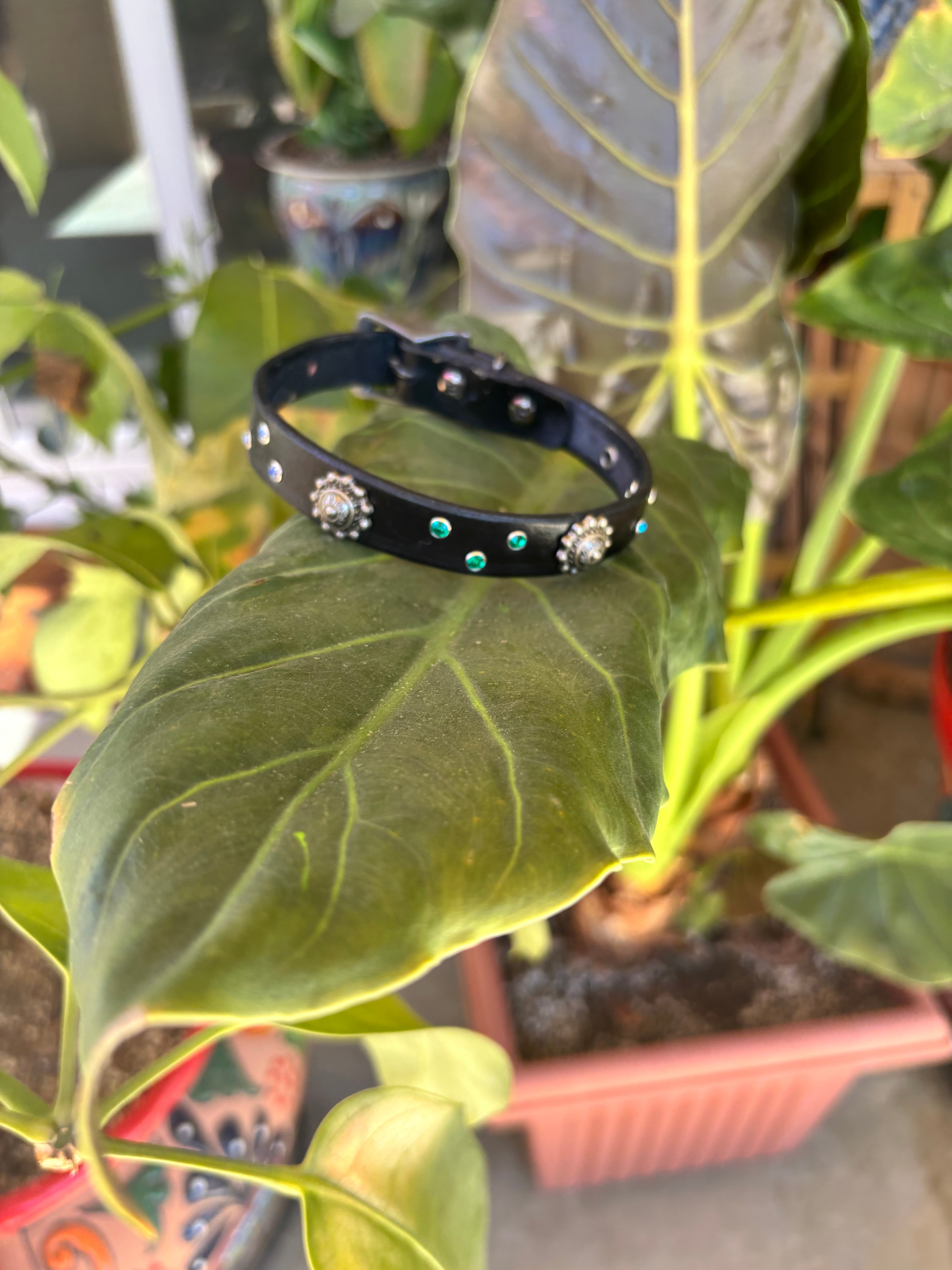 1\2" Black Enchantment Collar