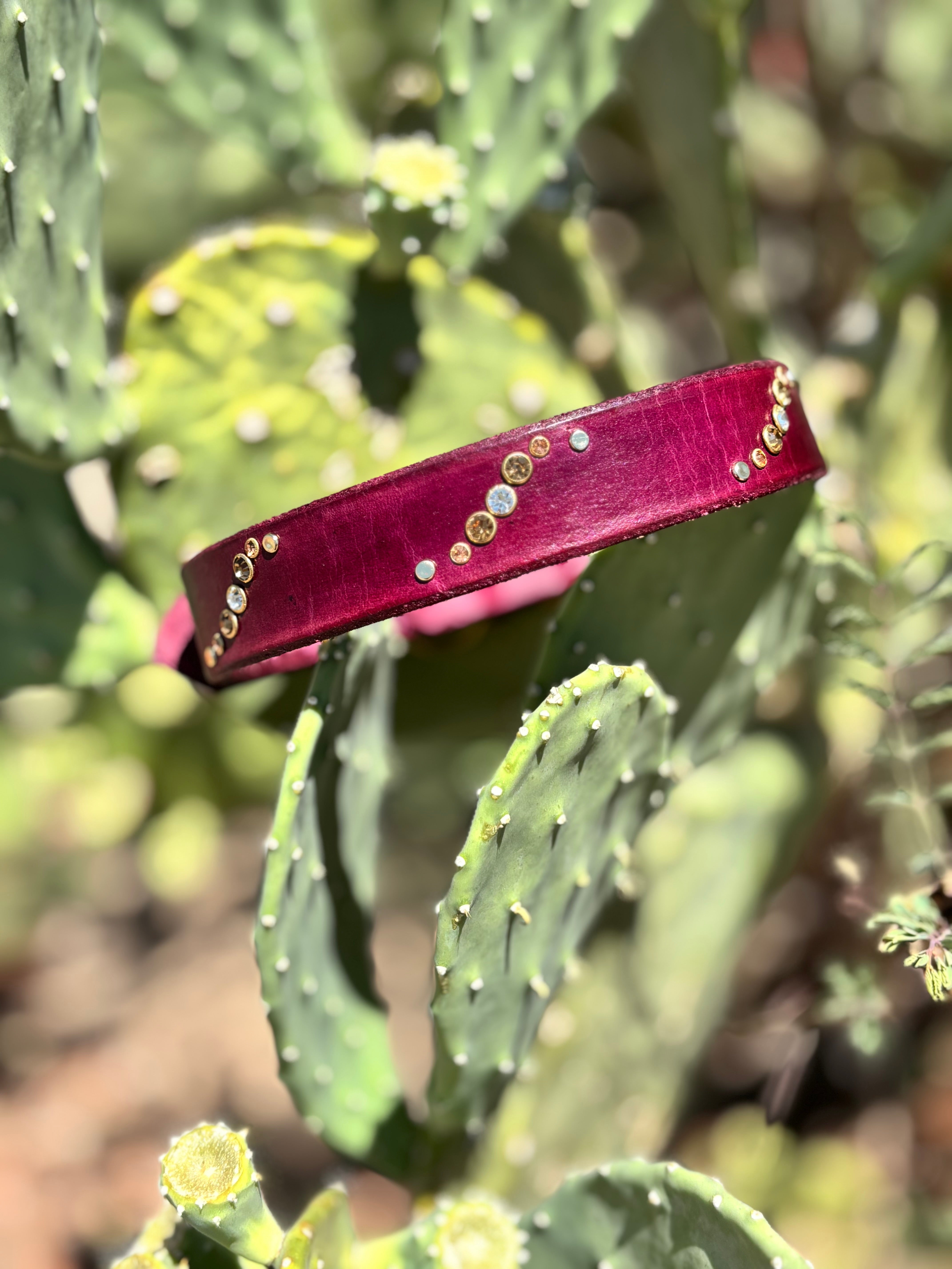 1 inch collar- purple