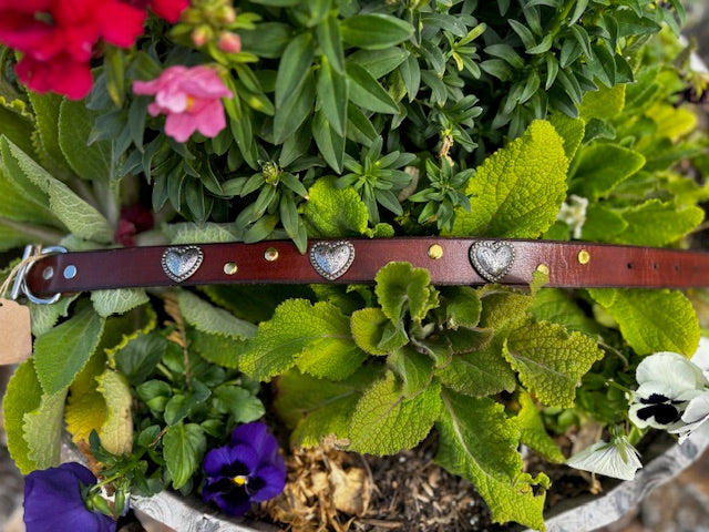 Heart Berry Concho Collar