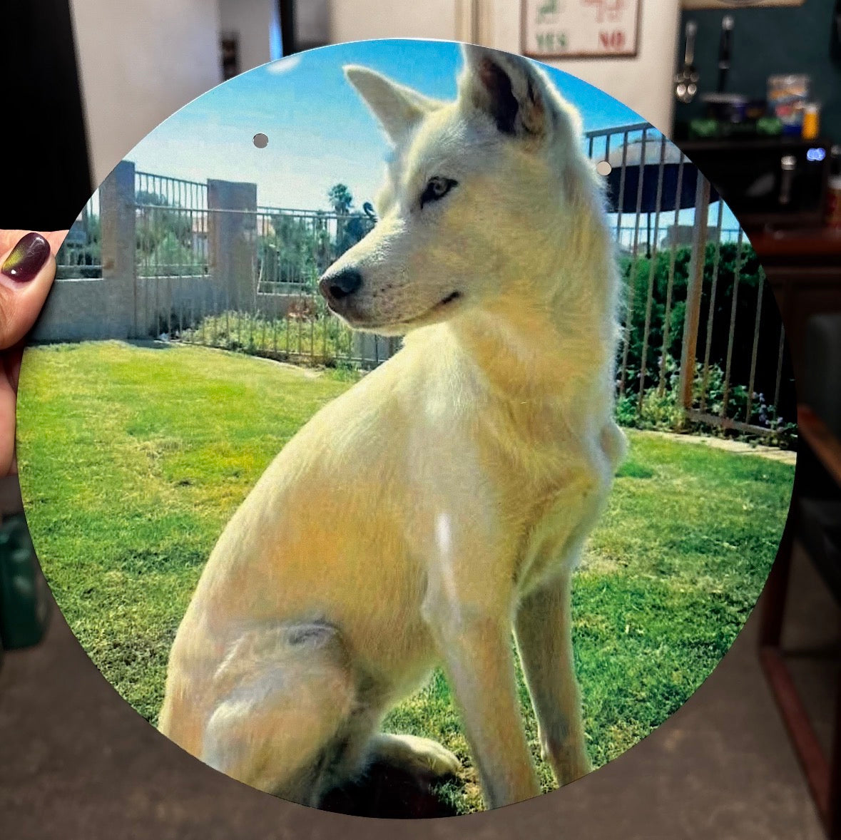 Custom Photo Wind Spinner