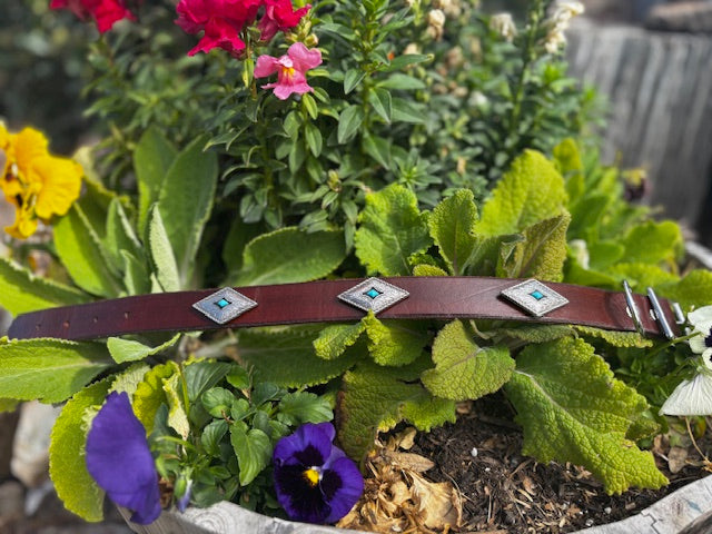 Prairie Dust Concho Collar